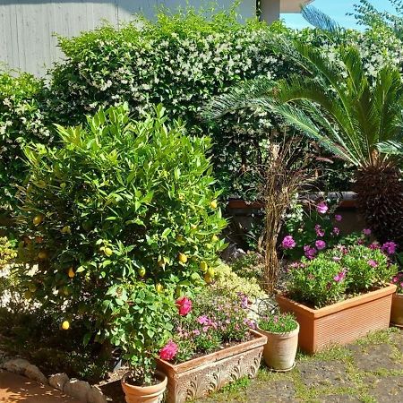 B&B Villa Noemi Zinnowitz Dış mekan fotoğraf