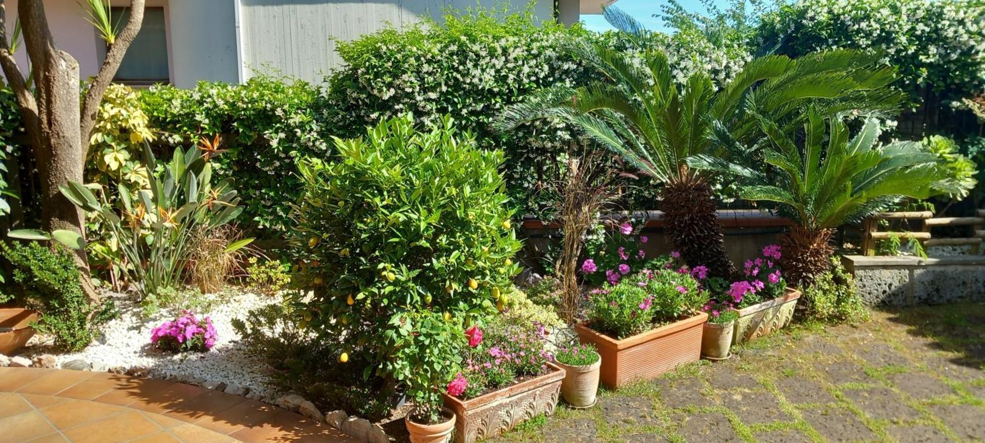 B&B Villa Noemi Zinnowitz Dış mekan fotoğraf
